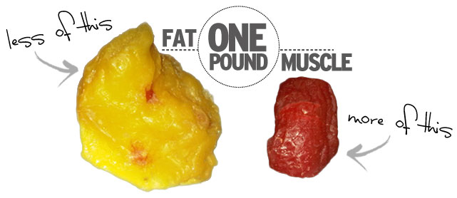 How much more does muscle weigh than fat?